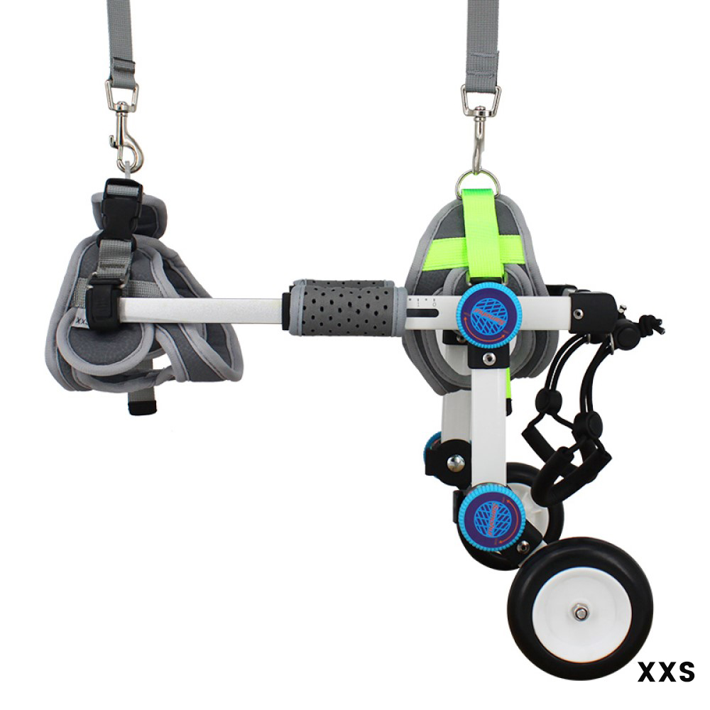 Best Rear Wheels for Small Dogs | LOVEPLUSPET