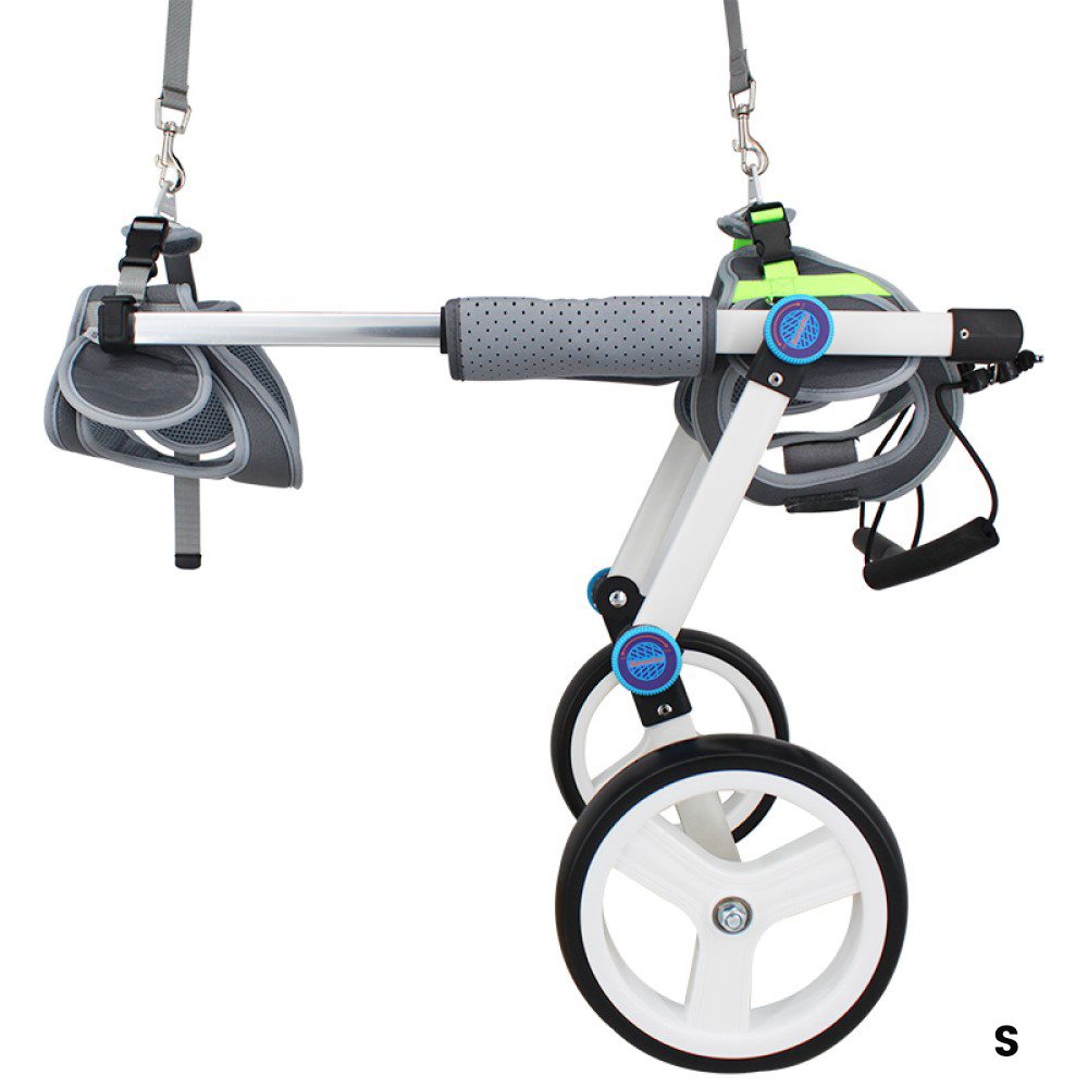 Best Rear Wheels for Small Dogs | LOVEPLUSPET