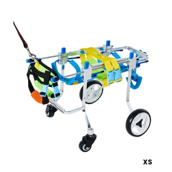 Best Quad Wheelchair for Small Dogs | LOVEPLUSPET