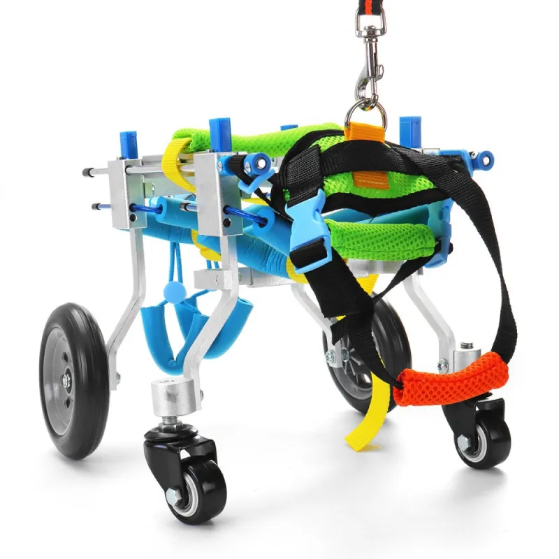 Best Quad Wheelchair for Small Dogs | LOVEPLUSPET