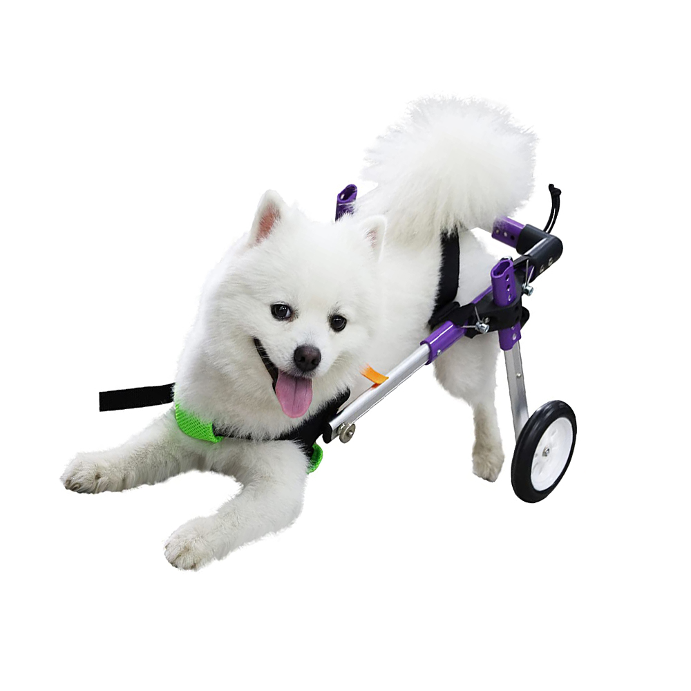 Best Little Dog Rear Wheelchair For Sale | LOVEPLUSPET