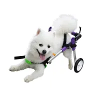 Best Little Dog Rear Wheelchair For Sale | LOVEPLUSPET