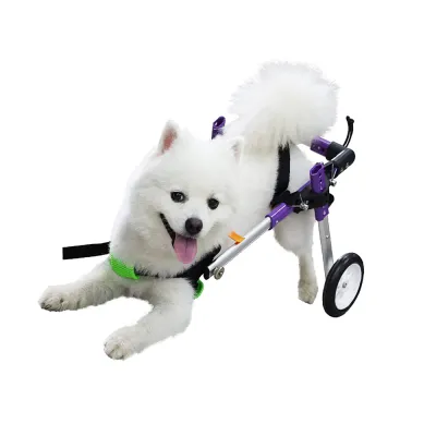 Little Dog Rear Wheelchair 02