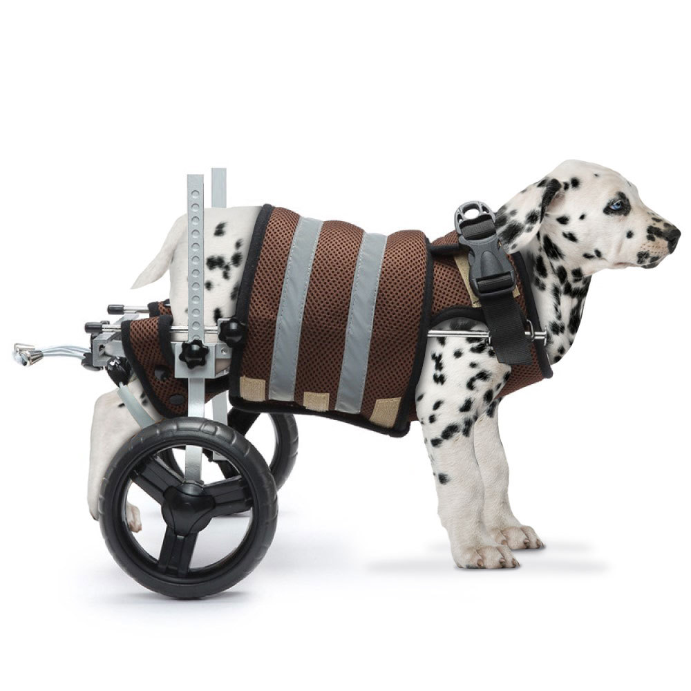 Best Small Rear Support Dog Wheelchair For Sale | LOVEPLUSPET