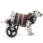 Best Small Rear Support Dog Wheelchair For Sale | LOVEPLUSPET