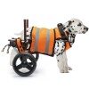 Small Rear Support Dog Wheelchair