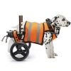 Small Rear Support Dog Wheelchair