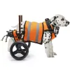 Best Small Rear Support Dog Wheelchair For Sale | LOVEPLUSPET