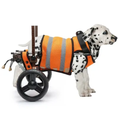 Small Rear Support Dog Wheelchair 01