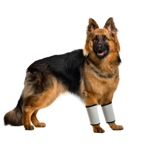 Carpal Hyperextension Dog Brace