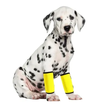Best Dog Carpal Wraps Support For Sale | LOVEPLUSPET