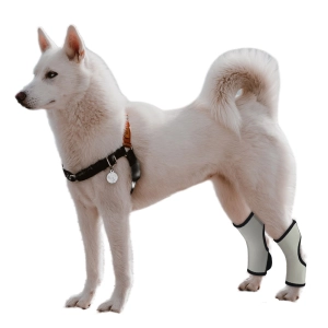 Dog Rear Hock Brace