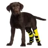 Dog Rear Leg Hock Brace