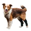Canine Ankle Brace