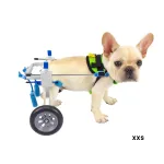 Best Small Dog Wheels for Hind Legs | LOVEPLUSPET