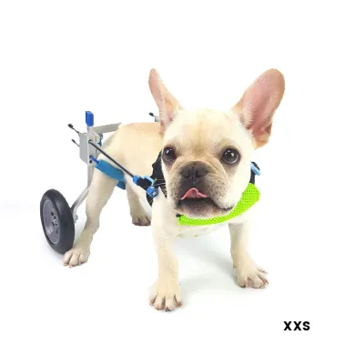 Small Dog Wheelchair for Hind Legs 02
