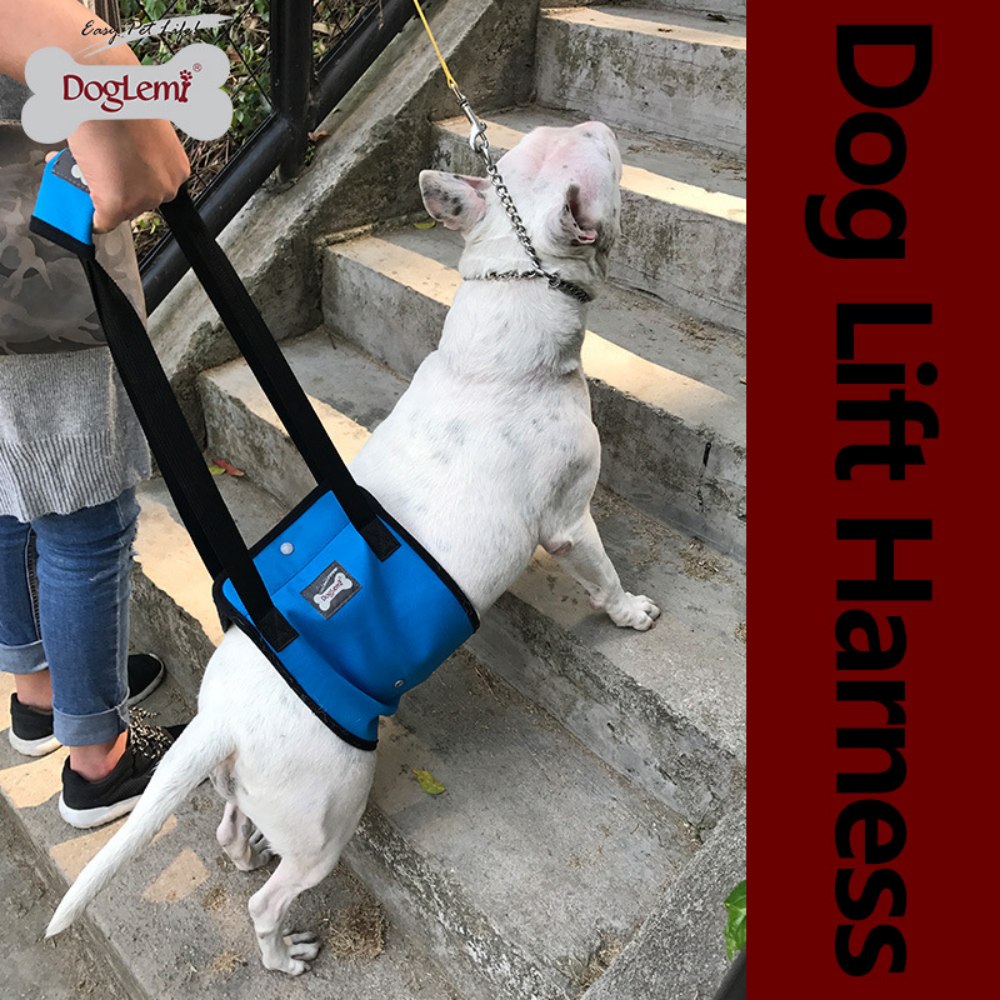 Best Mid-body Dog Support Harness For Sale | LOVEPLUSPET