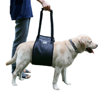 Mid-body Dog Support Harness