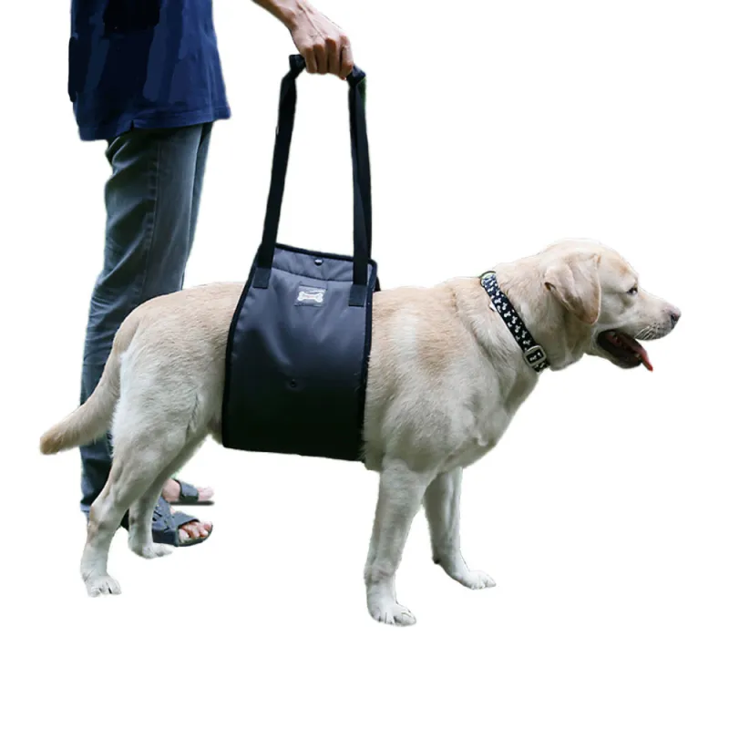 Best Mid-body Dog Support Harness For Sale | LOVEPLUSPET