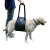 Mid-body Dog Support Harness