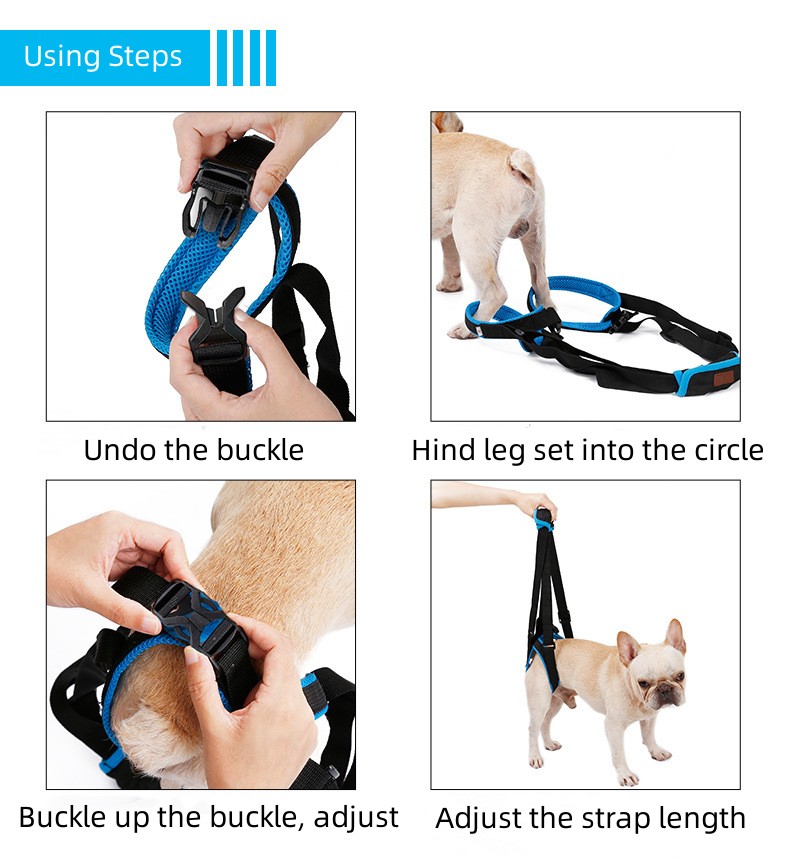 Best Dog Rear Harness with Handle for Lifting for Sale | LOVEPLUSPET
