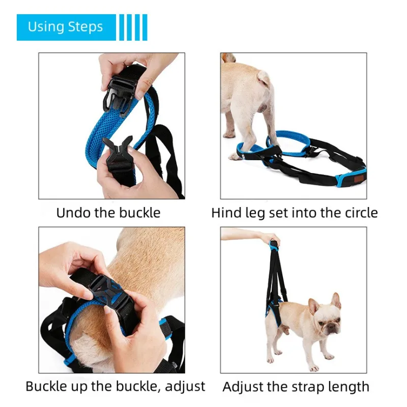 Best Dog Rear Harness with Handle for Lifting for Sale | LOVEPLUSPET
