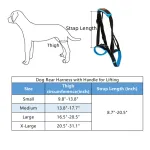 Best Dog Rear Harness with Handle for Lifting for Sale | LOVEPLUSPET