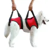Best Full Body Dog Mobility Lifting Harness For Sale | LOVEPLUSPET