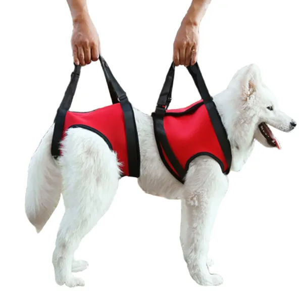 Best Full Body Dog Mobility Lifting Harness For Sale | LOVEPLUSPET