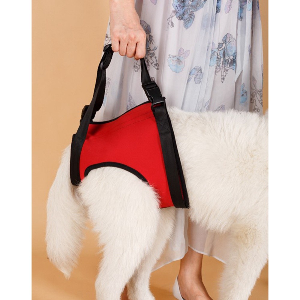 Best Full Body Dog Mobility Lifting Harness For Sale | LOVEPLUSPET