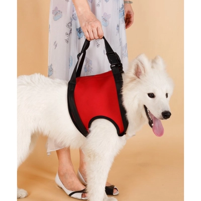 Front Rear Support Harness Set Green 02