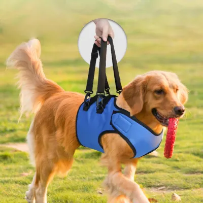Oxford Front Leg Support Harness 02