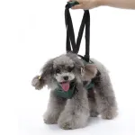 Best Dog Support Harness Front Legs For Sale | LOVEPLUSPET