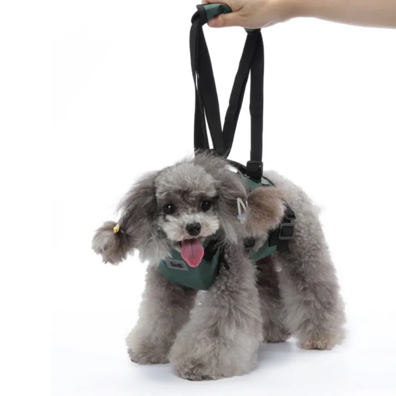 Best Dog Support Harness Front Legs For Sale | LOVEPLUSPET