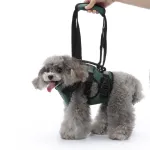 Best Dog Support Harness Front Legs For Sale | LOVEPLUSPET