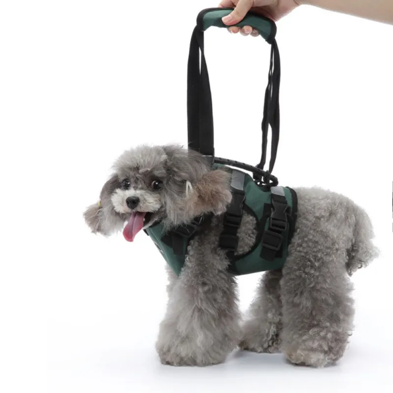 Best Dog Support Harness Front Legs For Sale | LOVEPLUSPET