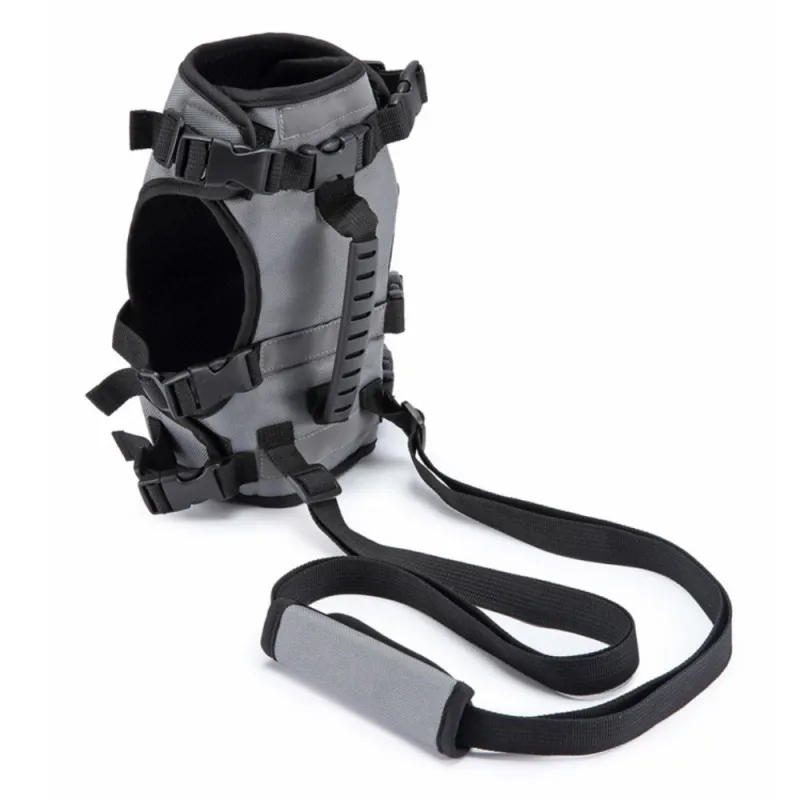 Best Dog Support Harness Front Legs For Sale | LOVEPLUSPET