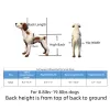 Best Full Support Wheelchair for Small Dogs | LOVEPLUSPET