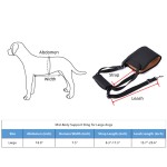 Best Dog Support Sling For Sale | LOVEPLUSPET
