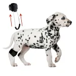 Best Dog Hock Joint Brace For Sale | LOVEPLUSPET