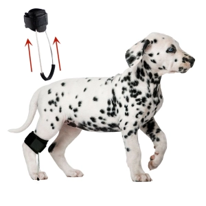 Dog No-Knuckling Brace