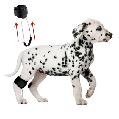 Dog No-Knuckling Brace 01