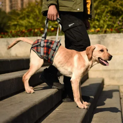 Grid Dog Lift Harness for Back Legs 02