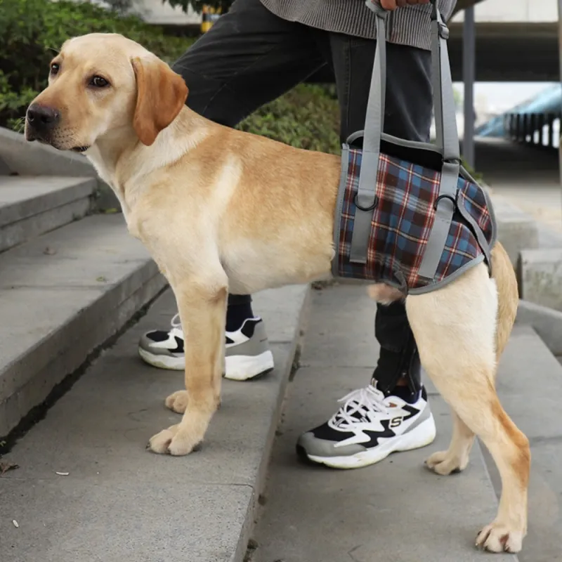 Best Dog Lift Harness for Back Legs | LOVEPLUSPET