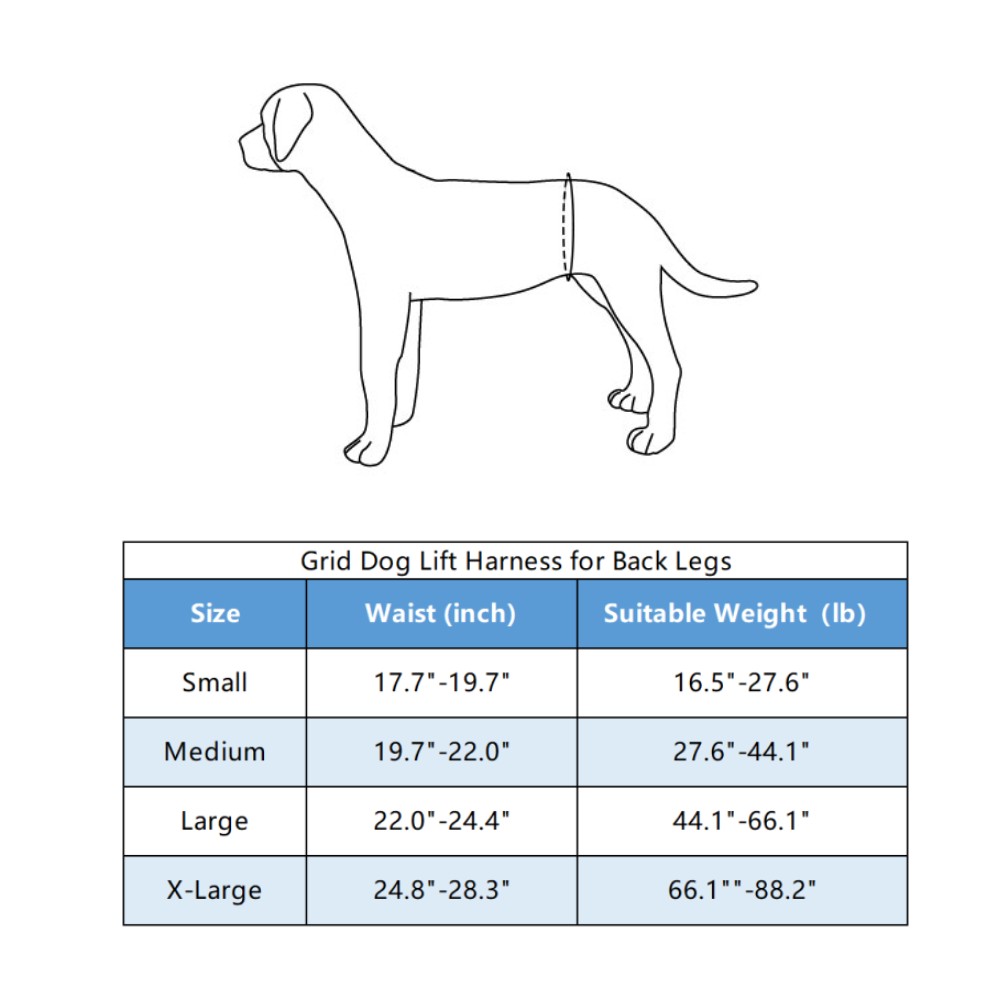 Best Dog Lift Harness for Back Legs | LOVEPLUSPET
