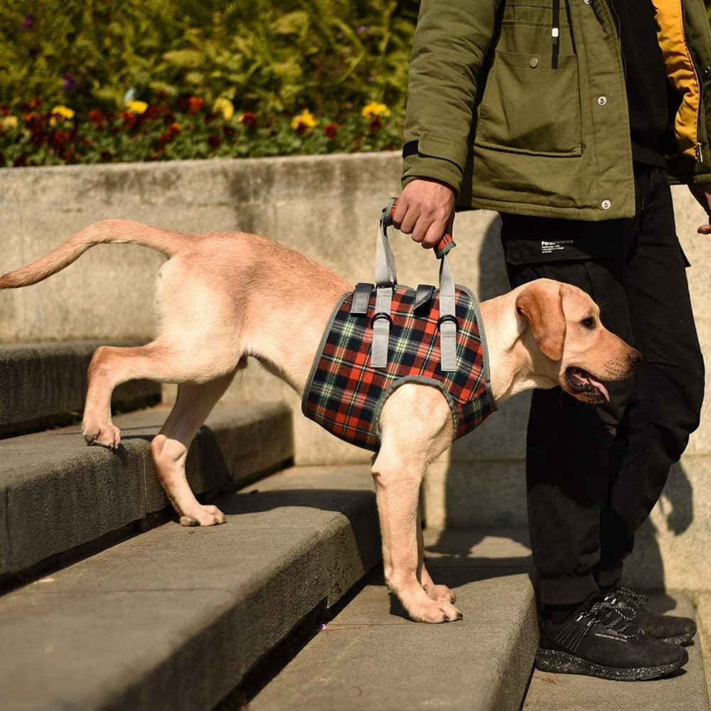 Best Dog Lift Harness & Sling for Dog Front Leg For Sale | LOVEPLUSPET