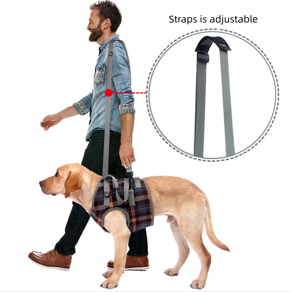 Best Dog Lift Harness & Sling for Dog Front Leg For Sale LOVEPLUSPET
