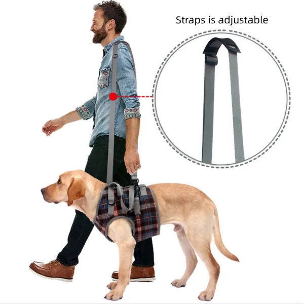 Best Dog Lift Harness & Sling for Dog Front Leg For Sale | LOVEPLUSPET