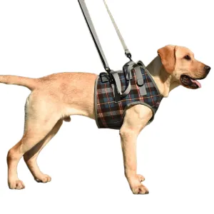 Grid Dog Lift Harness for Front Legs
