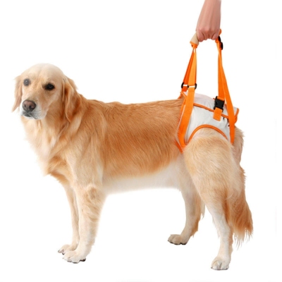 Best Back Leg Dog Harness For Sale | LOVEPLUSPET
